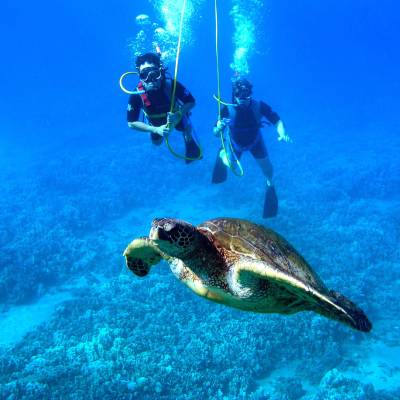 SNUBA® diving