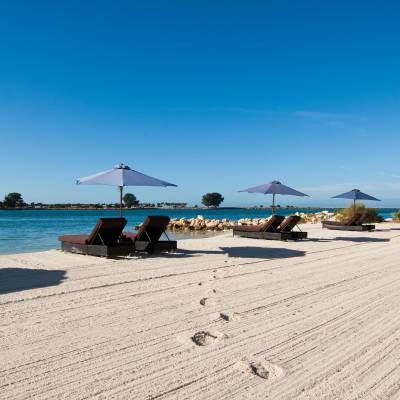 an umbrella sitting on top of a sandy beach