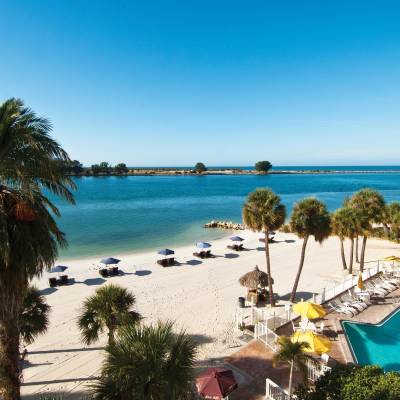 a group of palm trees on a beach near a body of water
