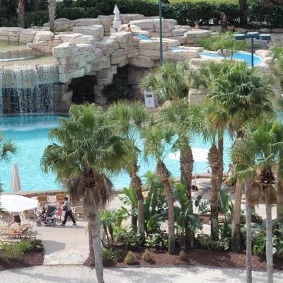 a group of palm trees
