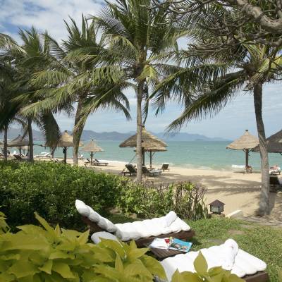 a group of palm trees on a beach