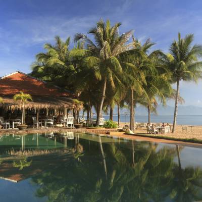 a group of palm trees next to a body of water