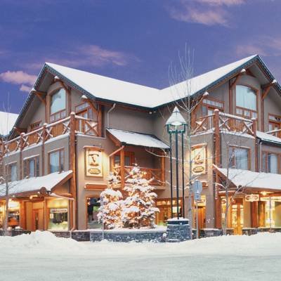 a house covered in snow