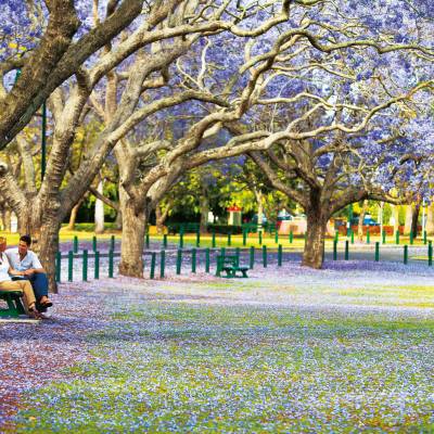 a group of people sitting on a bench in a park