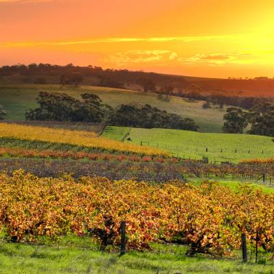 Barossa