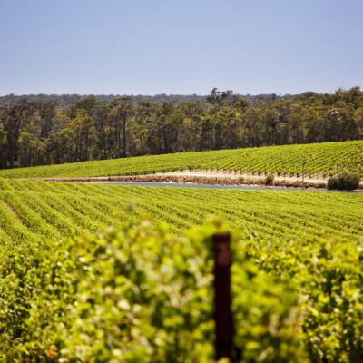 Barossa