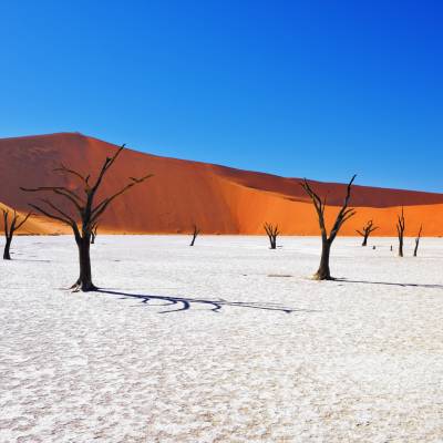 Love Of Travel: Stories From Our Experts