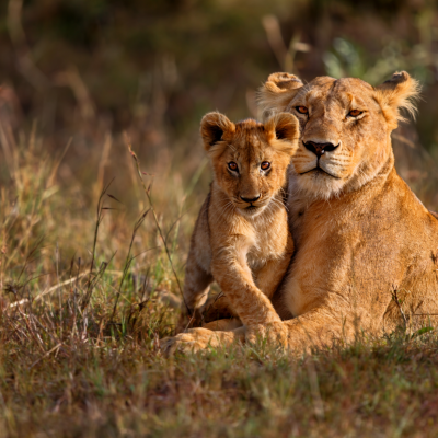 Kenya