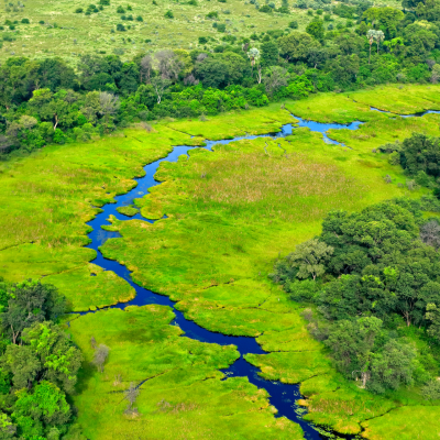 5 Reasons Why You Must Visit Botswana During The Green Season
