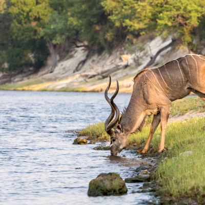 5 Reasons Why You Must Visit Botswana During The Green Season