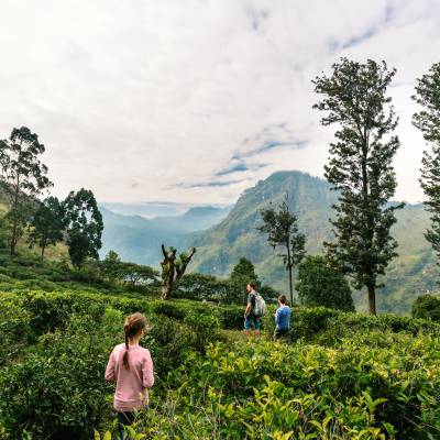Expert tips on travelling with kids
