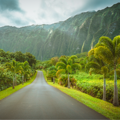 Which Hawaiian Island Is Right For You?