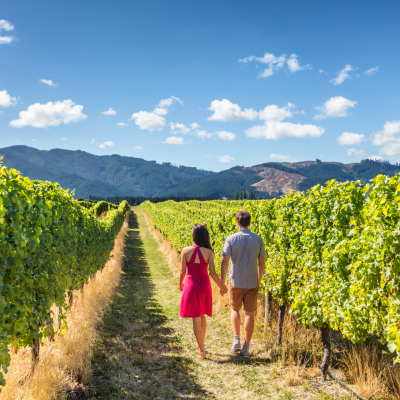 The Best Wine Destinations From Across The World