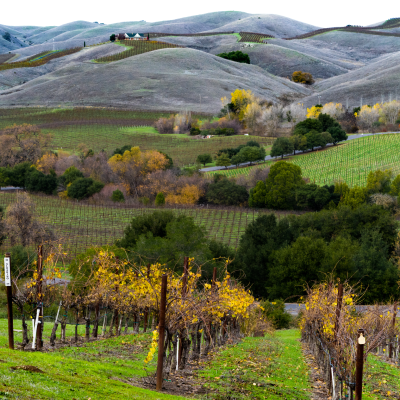 The Best Wine Destinations From Across The World