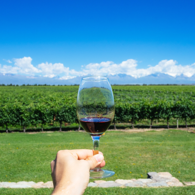 The Best Wine Destinations From Across The World