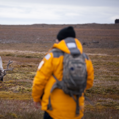 What To Expect On An Arctic Expedition to Spitsbergen