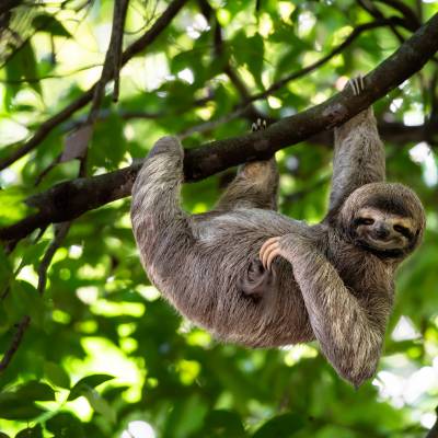 Why Visit Costa Rica?