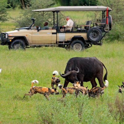 Six Ways to Experience the Okavango Delta