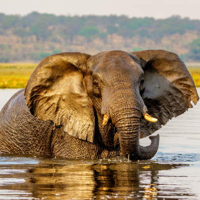 Six Ways to Experience the Okavango Delta