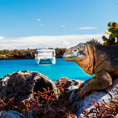 Unique Cruises From Around The World