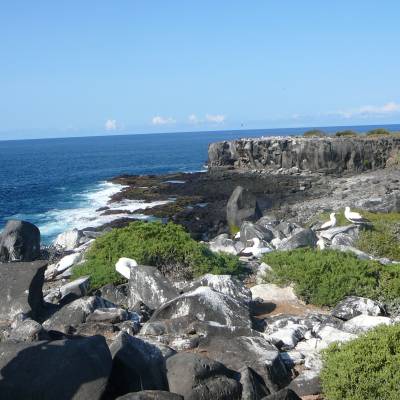 Top Bird-Watching Destinations in Latin America