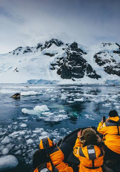 Guests in yellow parkas carefully watch an orca spyhopping as it tries to get better look at a seal resting on an ice flow.