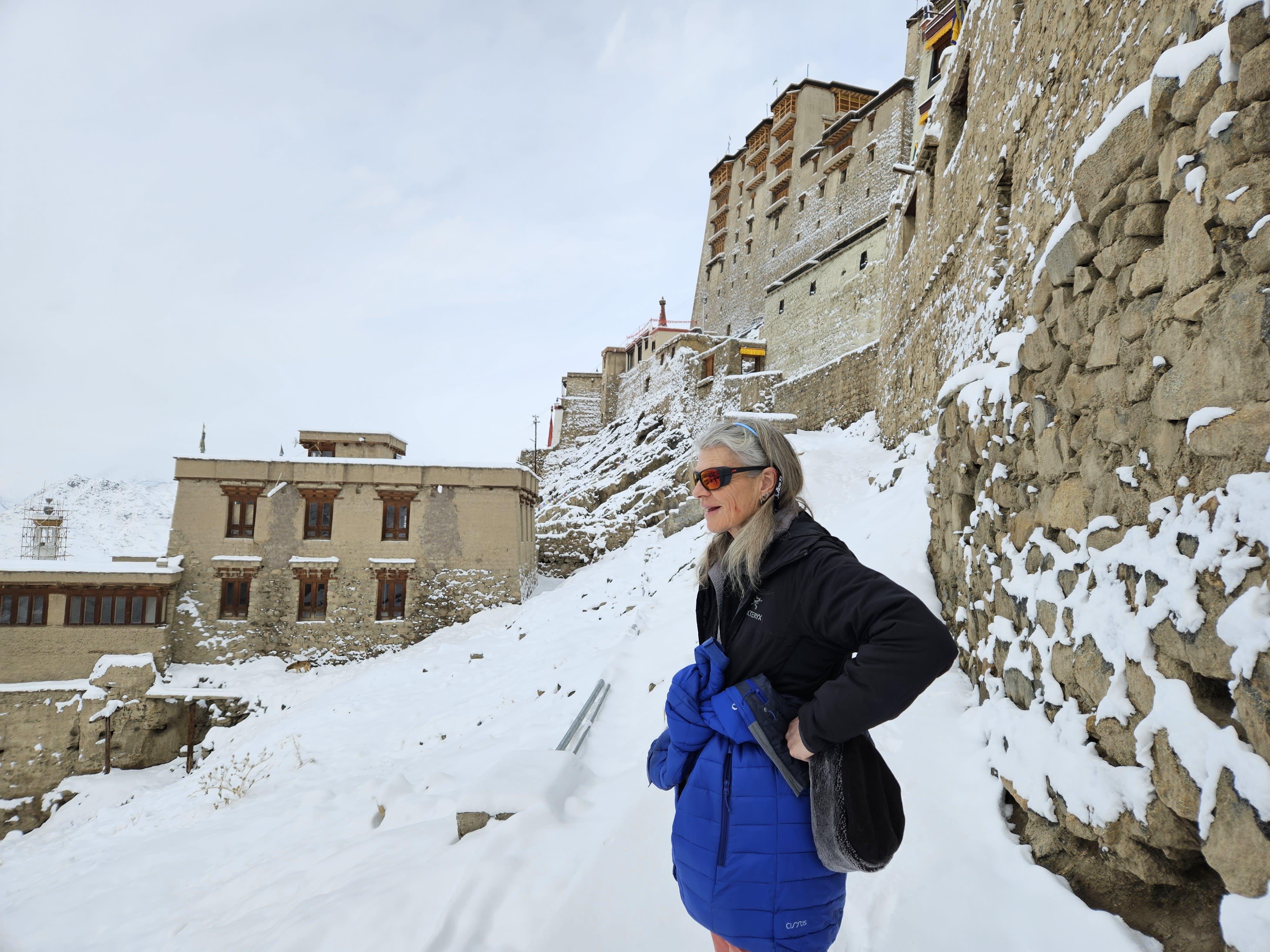 Join Valerie Parkinson on her search for snow leopards in the Himalaya 