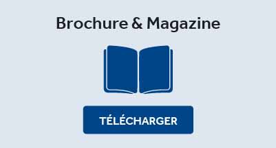Brochure & Magazine
