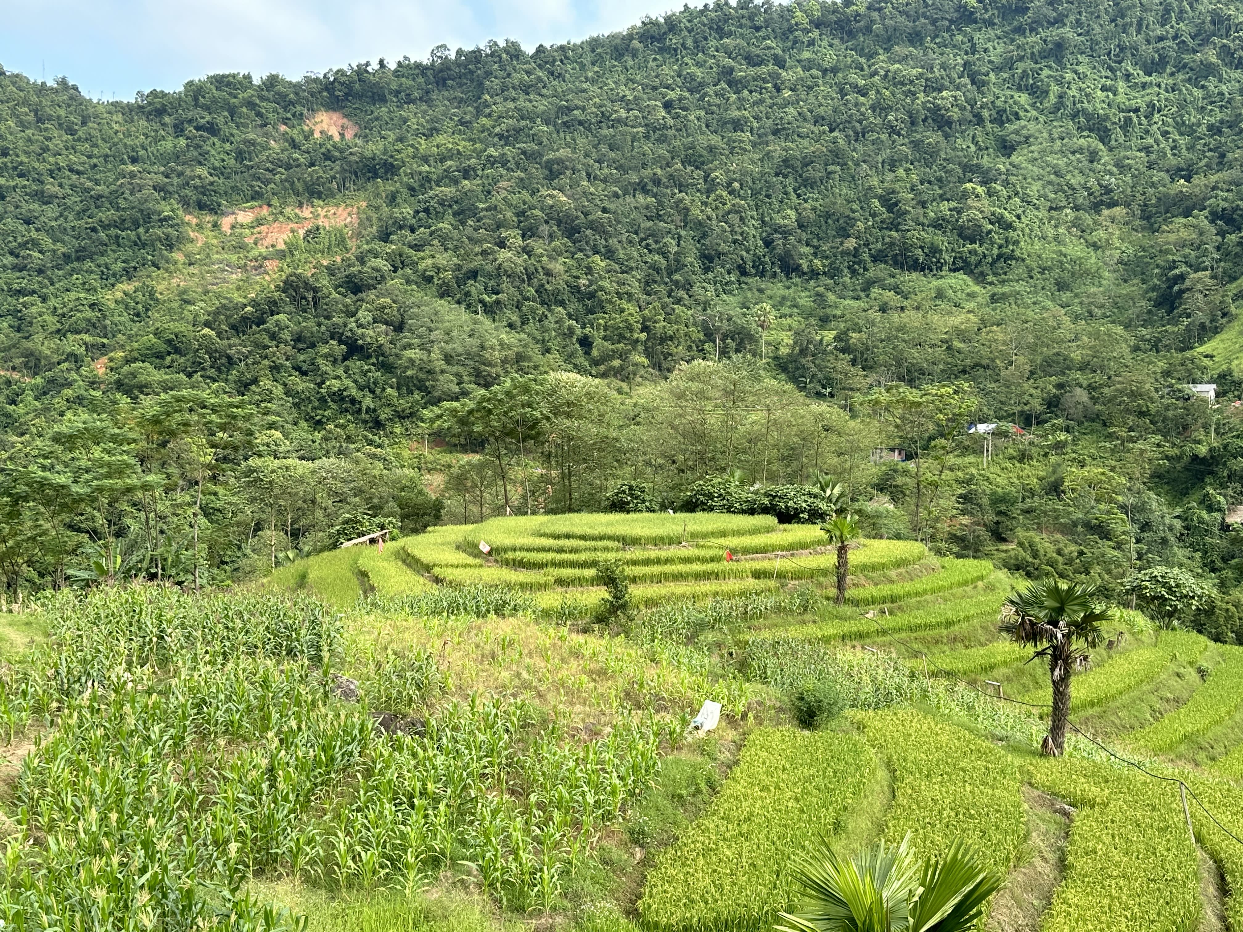Our Top 5 Places for Trekking in Northern Vietnam