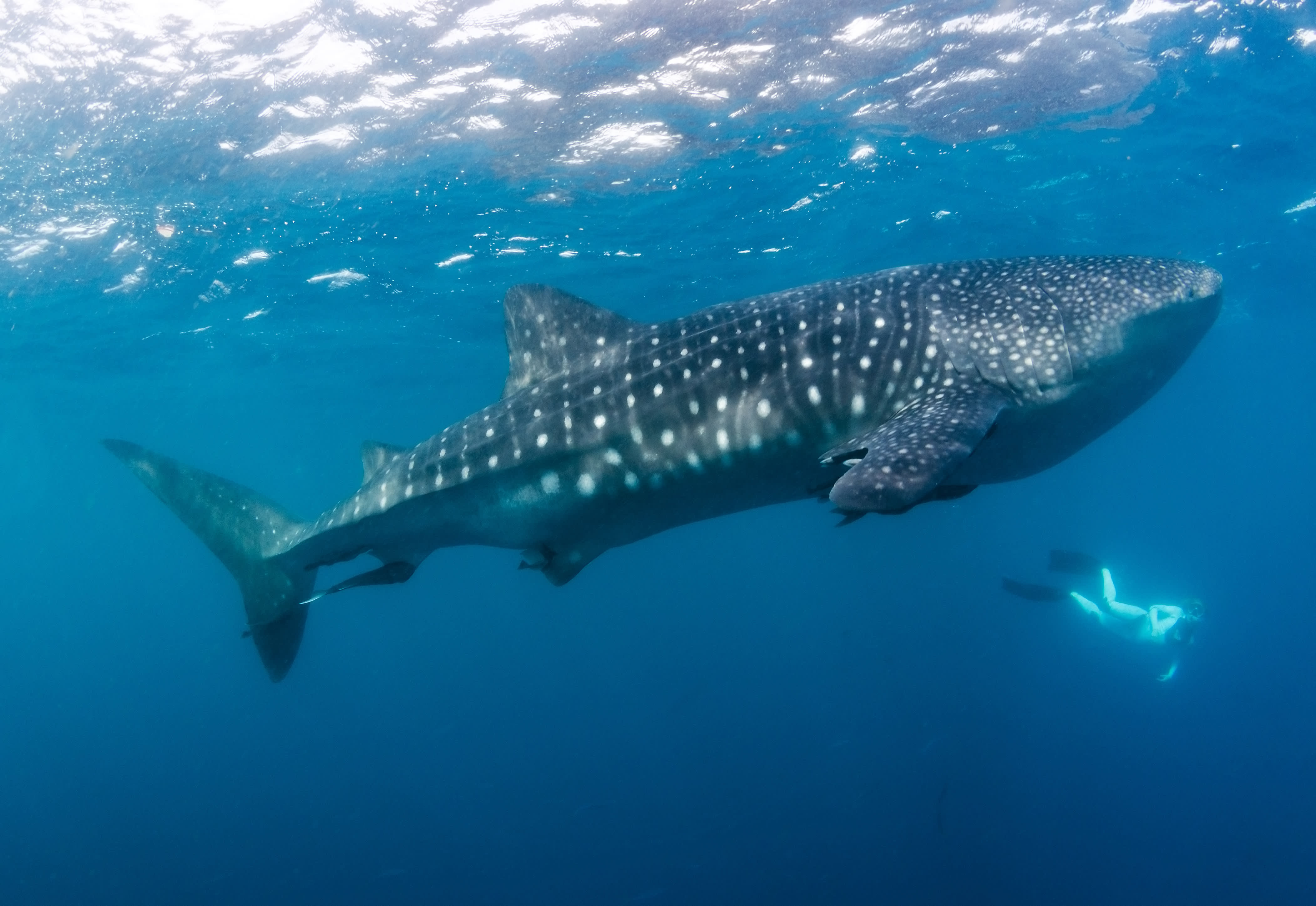 Top 15 Destinations to Visit in Summer 2024