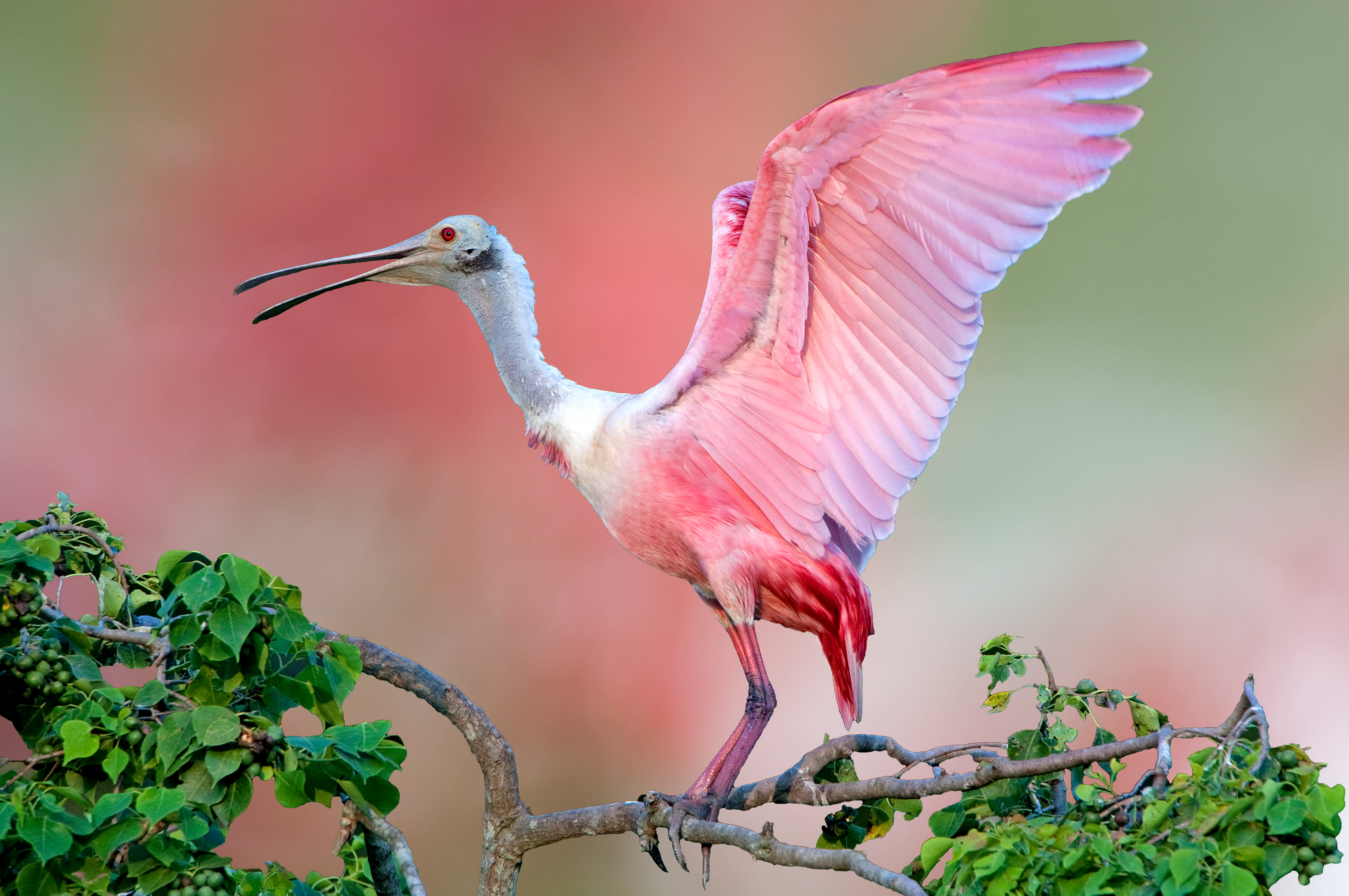  Adventures on Caribbean shores in Belize and Colombia  