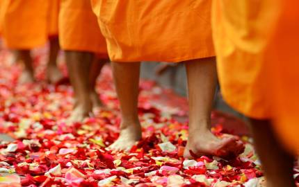 a close up of a pizza