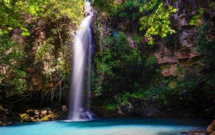 a waterfall surrounded by trees