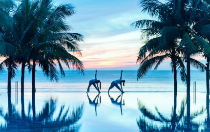 a group of palm trees next to a body of water