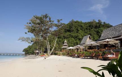 a group of palm trees on a beach