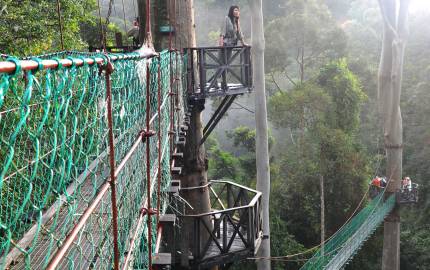 a close up of a wire fence