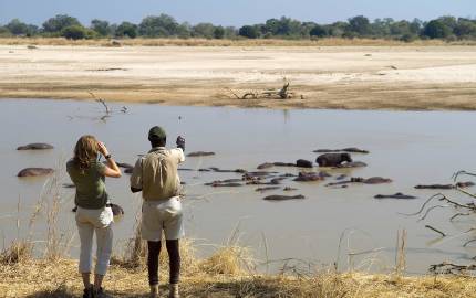 a flock of seagulls standing next to a body of water