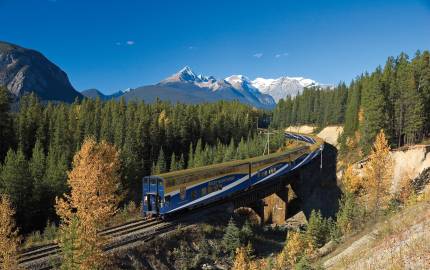 a train traveling down train tracks near a forest