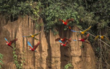 Milestone Birthday Trips: Celebrate the Years in Extraordinary Places