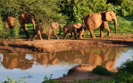 Journey With Presence: Your Bespoke Travel Specialist