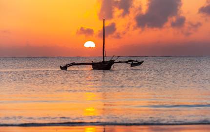 Why Choose Tanzania for Your Next Adventure