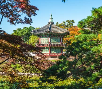 Von Bäumen umrahmter Pavillon in den Gärten des Gyeongbokgung Palastes in Seoul Südkorea