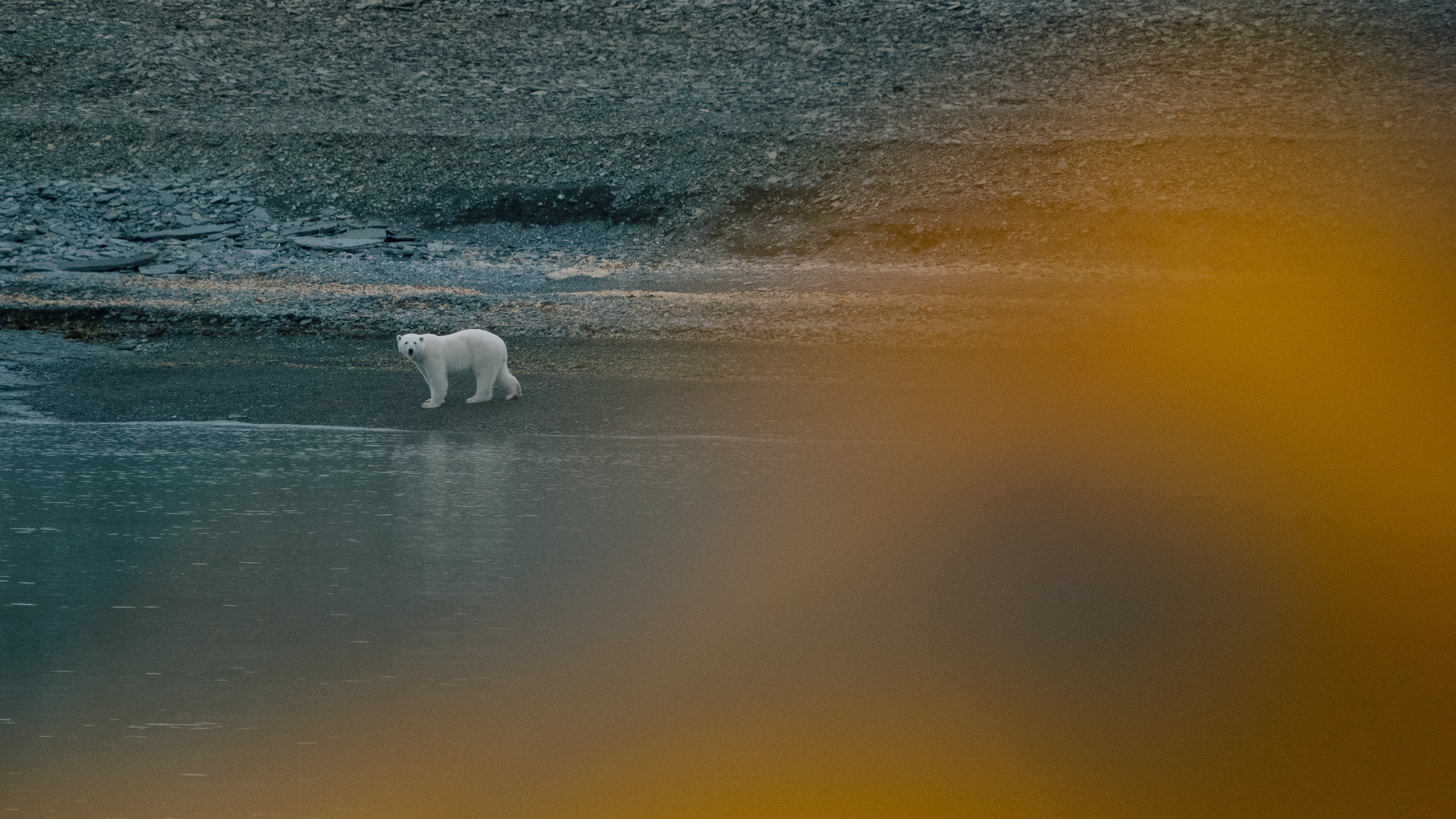 Above the World: Discovering the Untamed Beauty of the Canadian High Arctic 