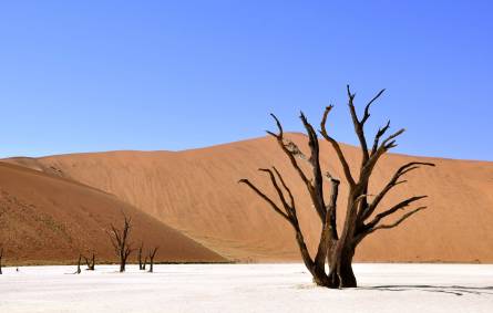 Sossusvlei Desert