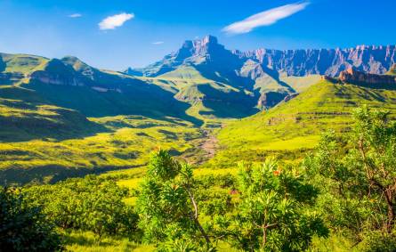 a large green field with a mountain in the background