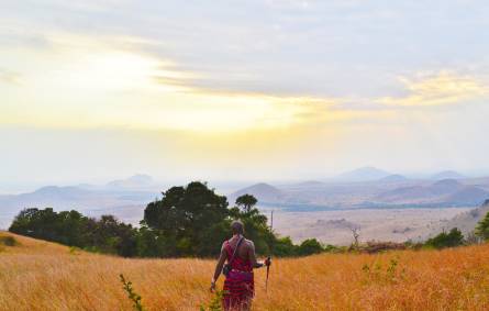 a man riding a horse in a field
