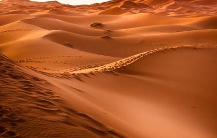 Morocco Desert