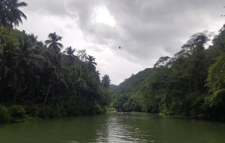 a body of water surrounded by trees