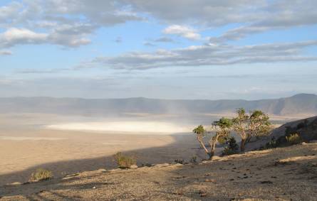 a sandy beach next to a body of water