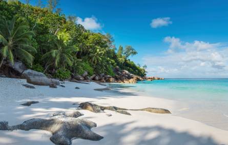 Beach View